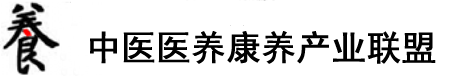 大屌爆插极品白虎视频在线观看